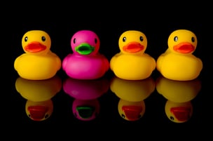 How Your Unwritten Rules are Harming Your Inclusive Culture