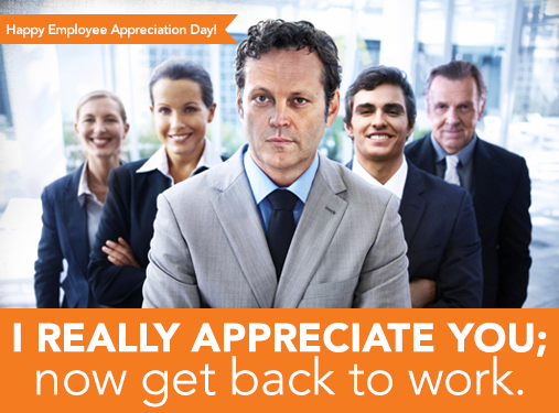 i-really-appreciate-you-now-get-back-to-work i-really-appreciate-you-now-get-back-to-work