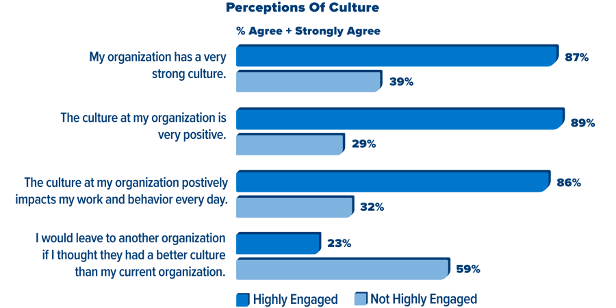 perceptions-of-culture_magnetism_trends-report